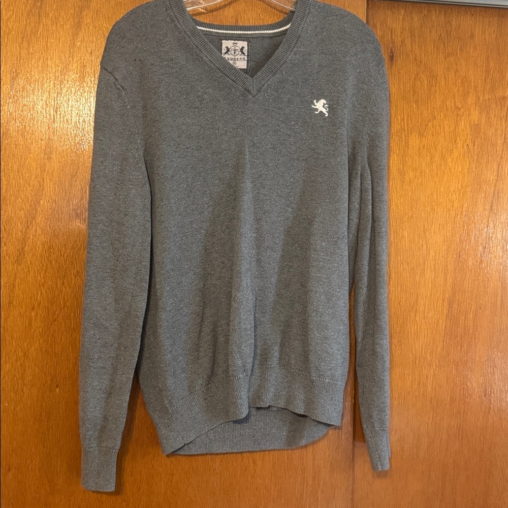 Express Charcoal V-Neck Sweater